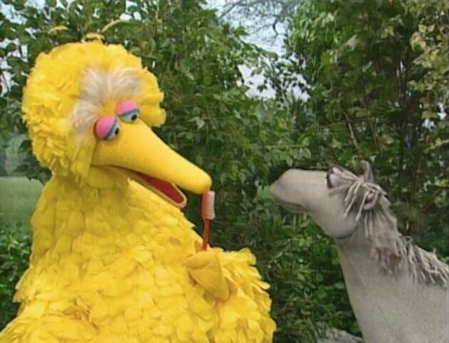 File:BigBirdBrushing.jpg
