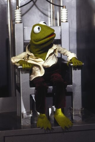 File:Kermit.Chair.jpg