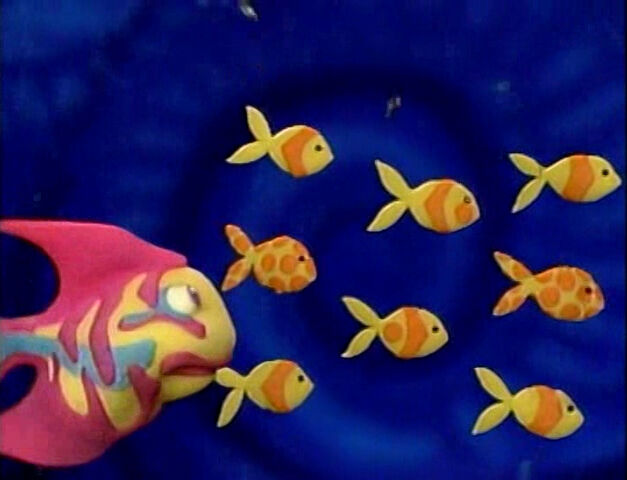File:Rainbowfish.8.jpg