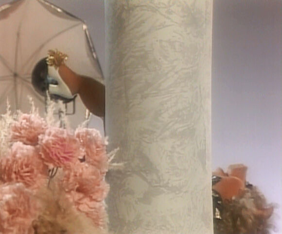 File:Miss Piggy's Photographer.jpg