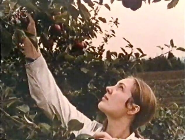 File:ApplePicking.jpg