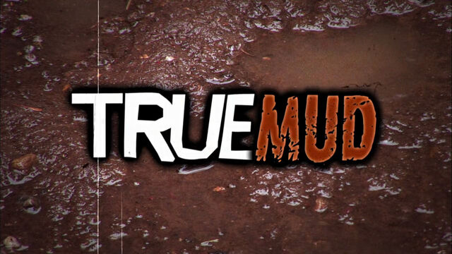 File:TrueMud01.jpg
