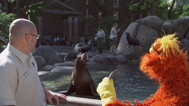 File:4307-Zoo03.png