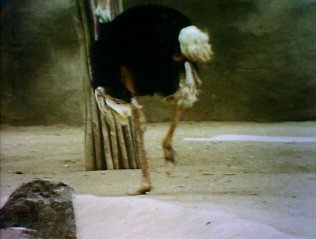 File:Film-AnimalMoves.jpg