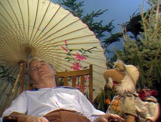 File:Matt nap.jpg