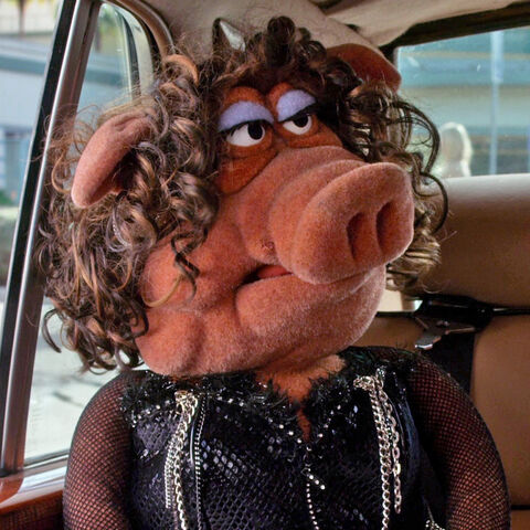 File:Poogy close-up.jpg