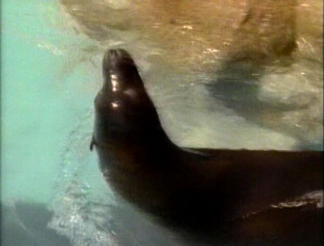File:WaterBaby.jpg
