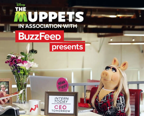 File:Buzzfeed intern.jpg