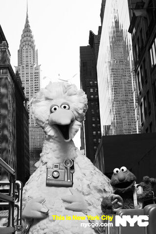 File:Nycgo-big-bird-elmo.jpg