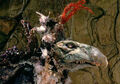 Thumbnail for version as of 02:27, March 19, 2013