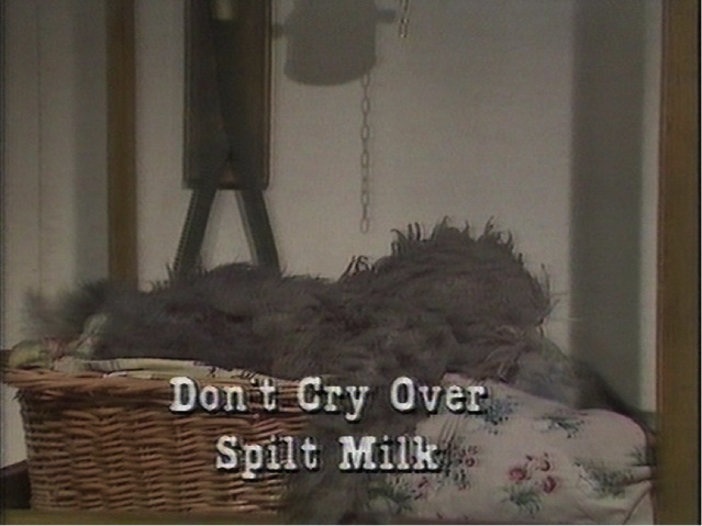 File:DontCryOverSpiltMilk.png