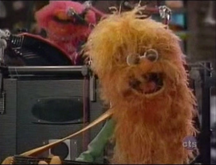 Beard Muppet Wiki FANDOM powered by Wikia