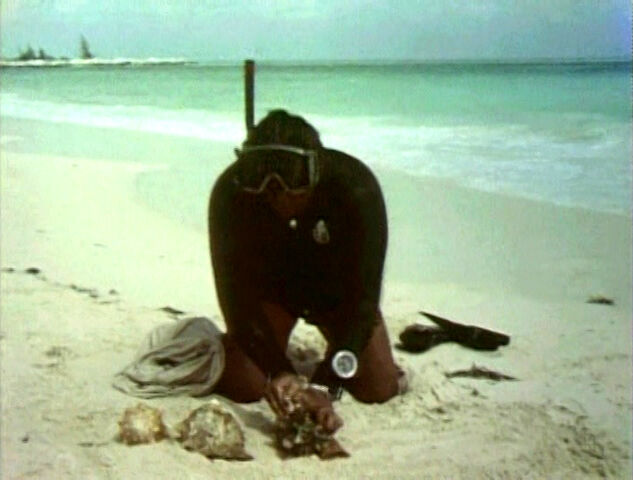 File:Film.Countingshells.jpg