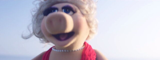 File:Moi video 19.jpg