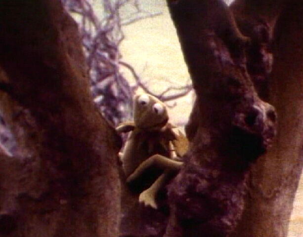 File:Camera test sc5 a.jpg