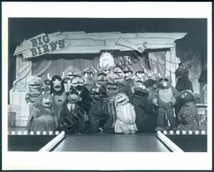 BigBirdsSuperSpectacularTotallyAmateurShowCast