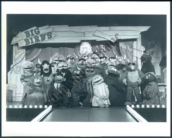 File:BigBirdsSuperSpectacularTotallyAmateurShowCast.jpg