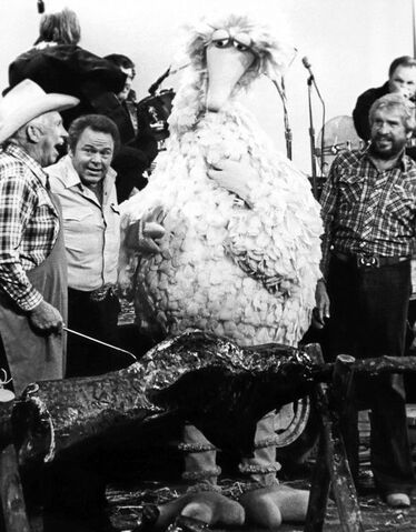 File:Bigbirdheehaw.jpg