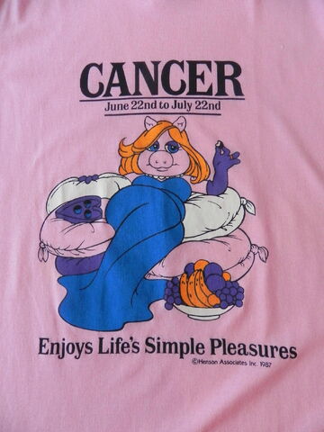 File:Avon fashions 1987 miss piggy astrology t-shirt cancer.jpg
