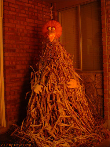 File:TravisFrost-2003-BigBirdPumpkin.jpg