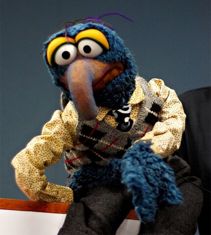File:NewGonzo100110.jpg