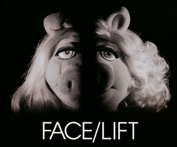 File:Facelift.jpg
