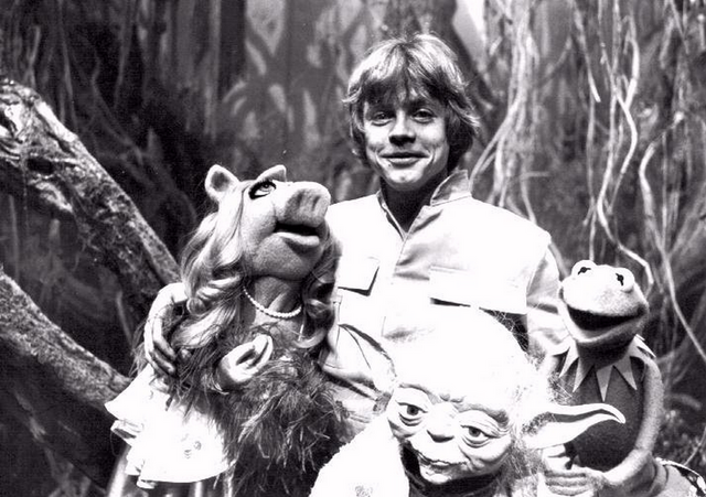 File:MarkHamill-Muppets-Yoda.png