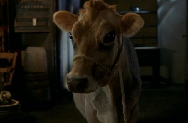 File:Milkywhite.jpg