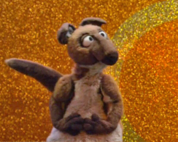 File:Kangaroo in Malibu.jpg