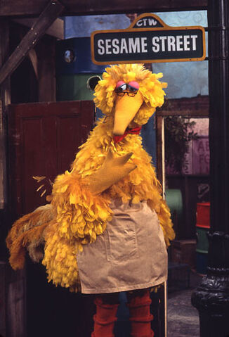 File:Bigbirdasmrhooper.jpg