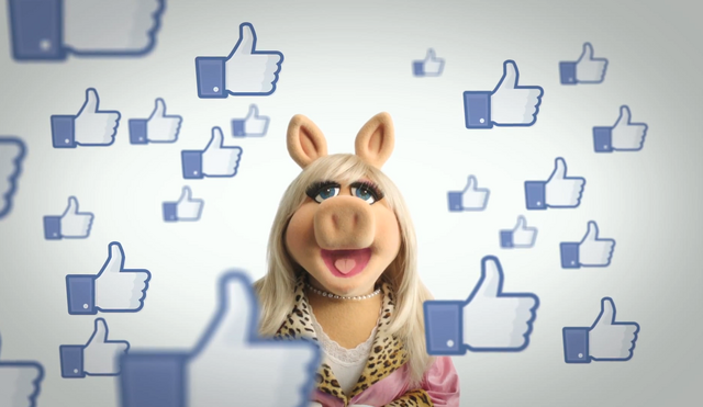 File:Piggy facebook6.png