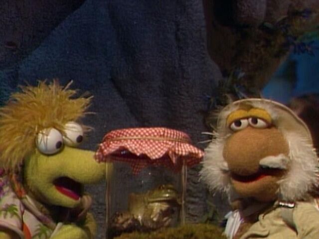 File:Matt frog.jpg