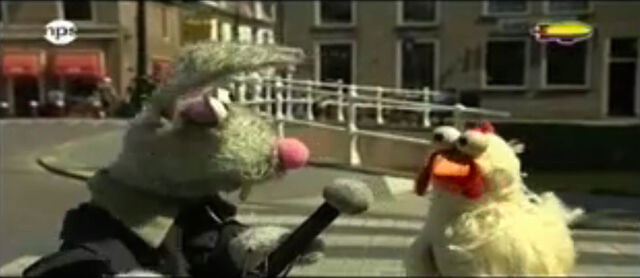 File:Stuntkip cross street.jpg