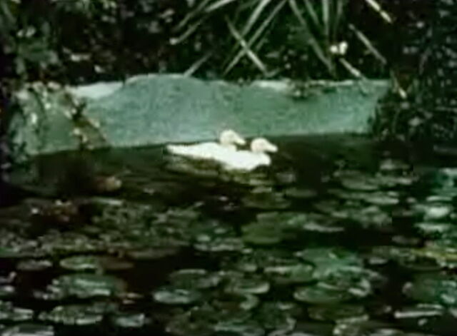 File:Rifftrax whatever the weather.jpg