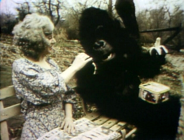 File:GorillaPark-YES.jpg