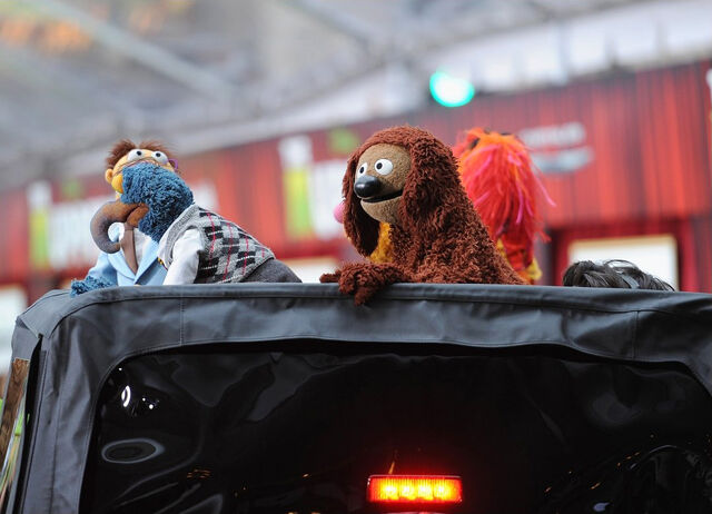 File:TheMuppets-WorldPremiere-ElCapitan-(2011-11-12)-16.jpg