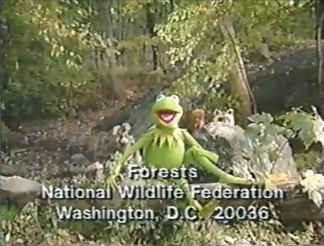 File:Nwf-critters.jpg