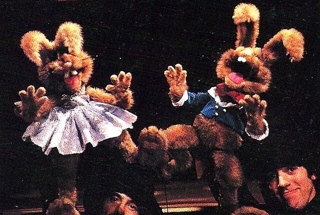 File:Jerry richard rabbits.jpg