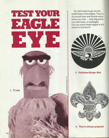 File:Rangerrick-eagles.jpg