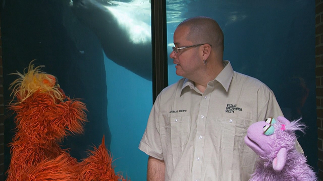 File:4307-Zoo02.png