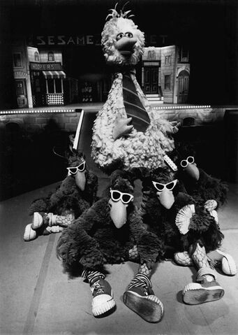 File:BigBirdTheSeedyBirds.jpg