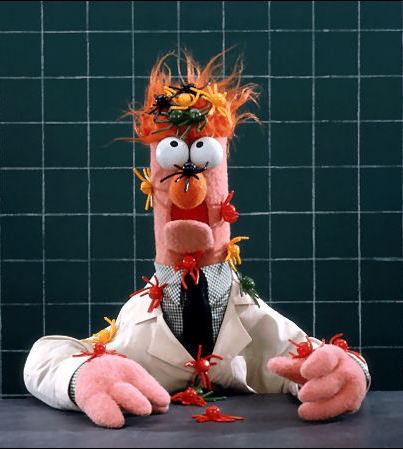 File:Beaker and Wacky WallWalkers.jpg