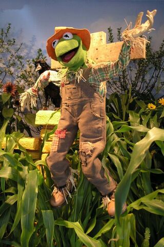 File:Ozflowershow10.jpg