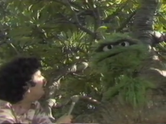 File:PauHana.png