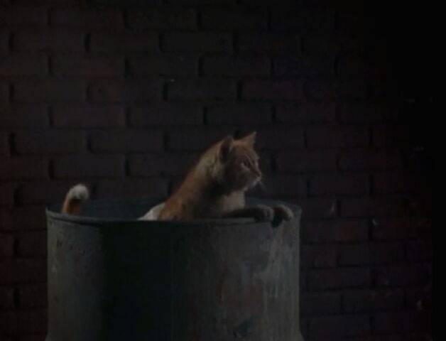 File:Rifftrax prisoner.jpg