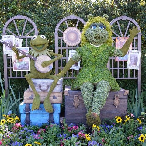 File:Flower and Garden display.jpg