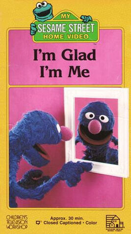 File:Video.imgladimme.jpg