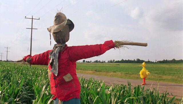 File:Big Bird scarecrow.jpg