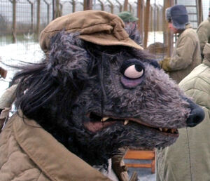 Black Dog 2