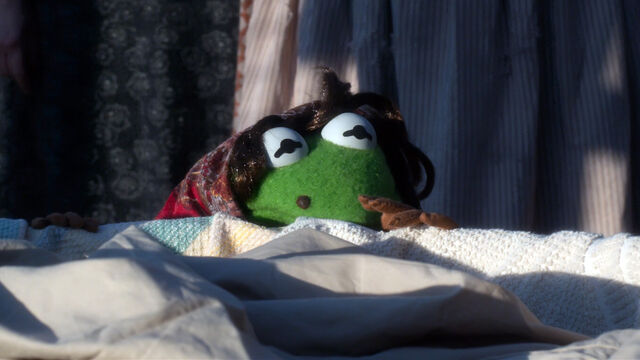 File:Kermit laundry lady MMW.jpg